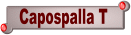 Vedi modello CAPOSPALLA T
