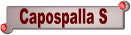 Vedi modello CAPOSPALLA S